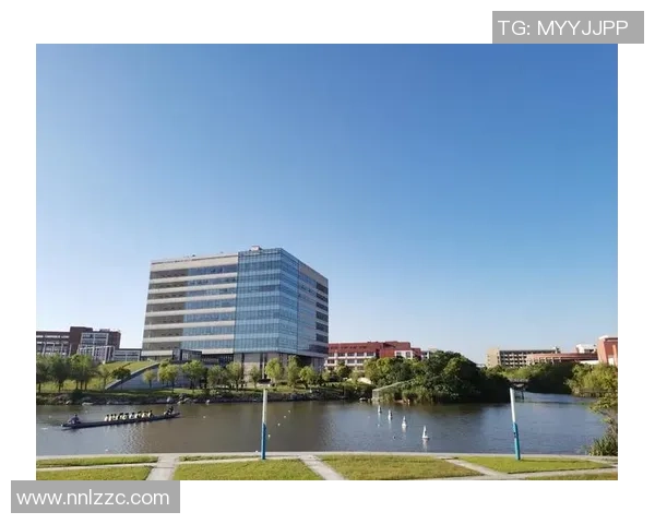 杭州极限运动队的阵地战分析与反思:得失背后的启示与未来展望MBA