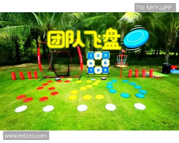 飞盘战术揭秘：深圳飞盘队如何运用快攻制胜对手